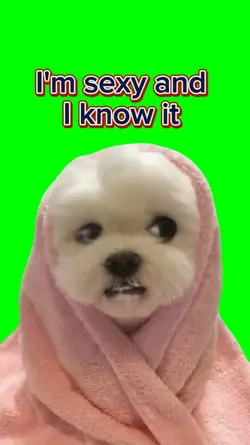 I'm sexy and I know 