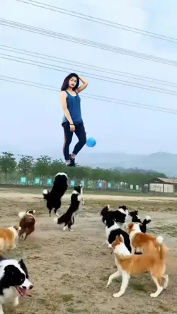 new funny trending 
