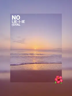 No lie 