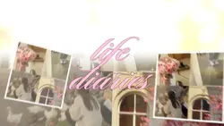 life diaries