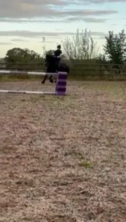 WOODYS FIRST 80CM