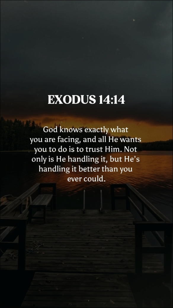 EXÓDIO 14: 14