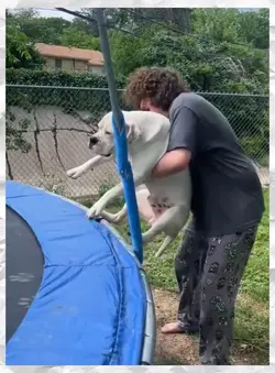 dogs need attention 