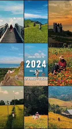Nhìn lại năm 2024