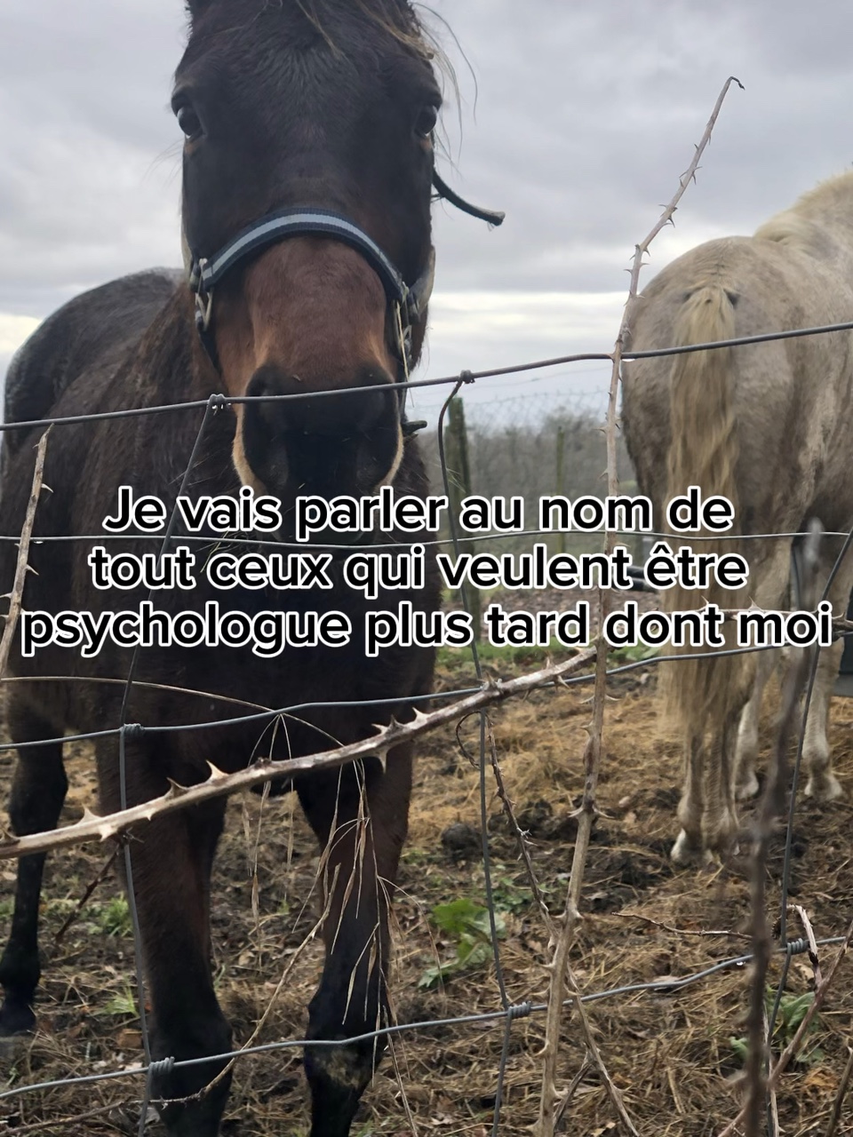 Ça m’énerve !!