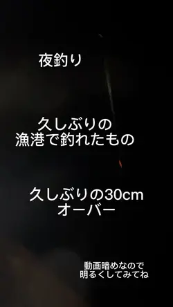 釣りの背景にしてみて