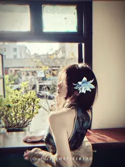 Mẫu nhạc cuốn 