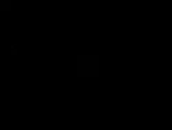 ariana grande remix