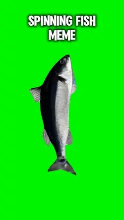 Spinning Fish Meme