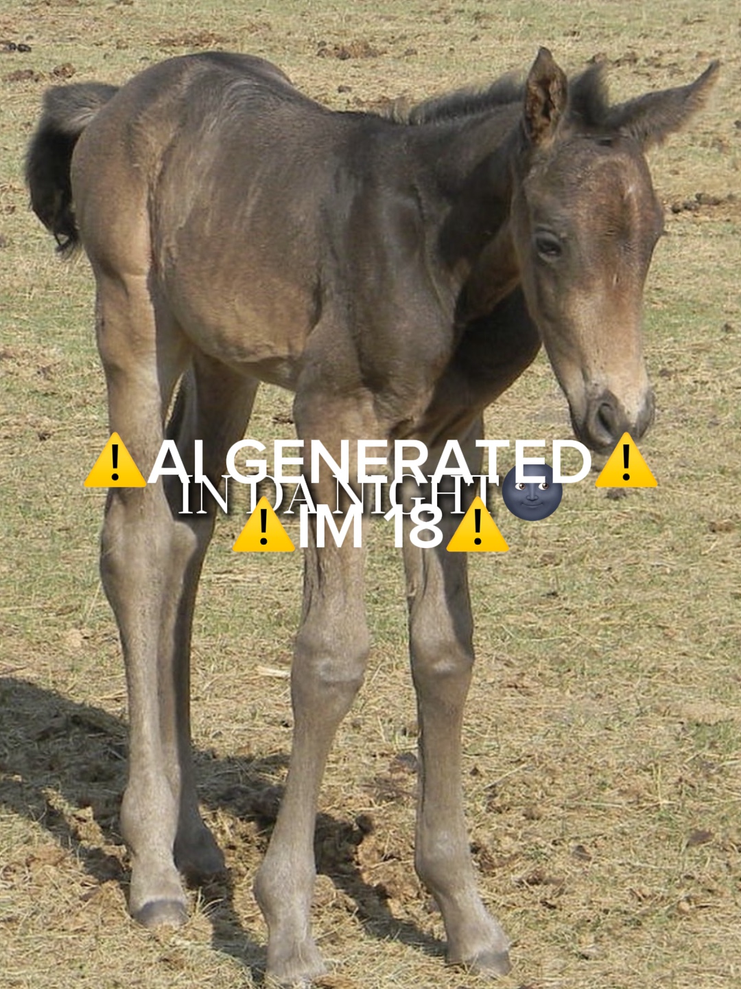 ⚠️AI GENERATED⚠️