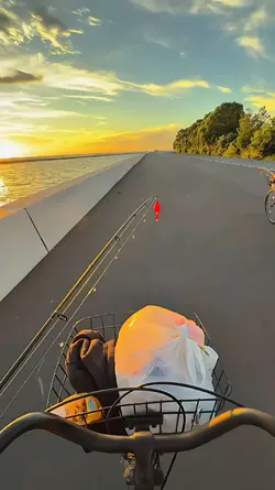 1 VID HD