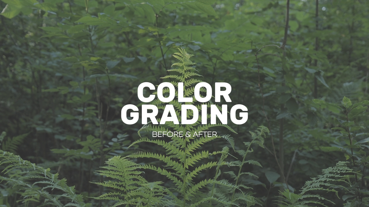COLORGRADING 