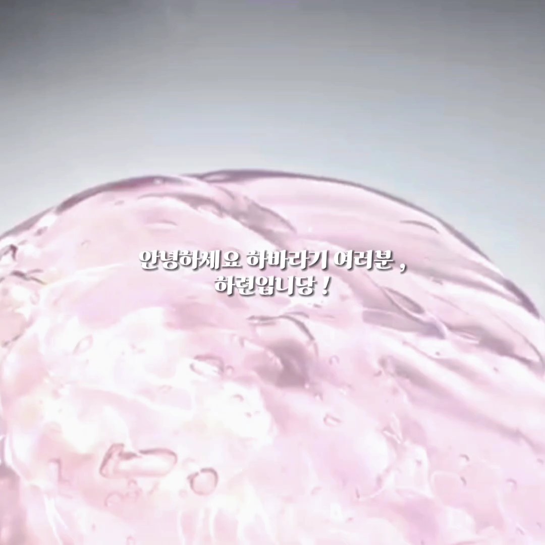 세젤사 즈 모집