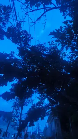 もう戻れないくらい好きだ＿＿