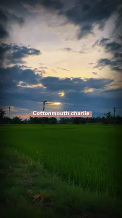 Cottonmouth charlie