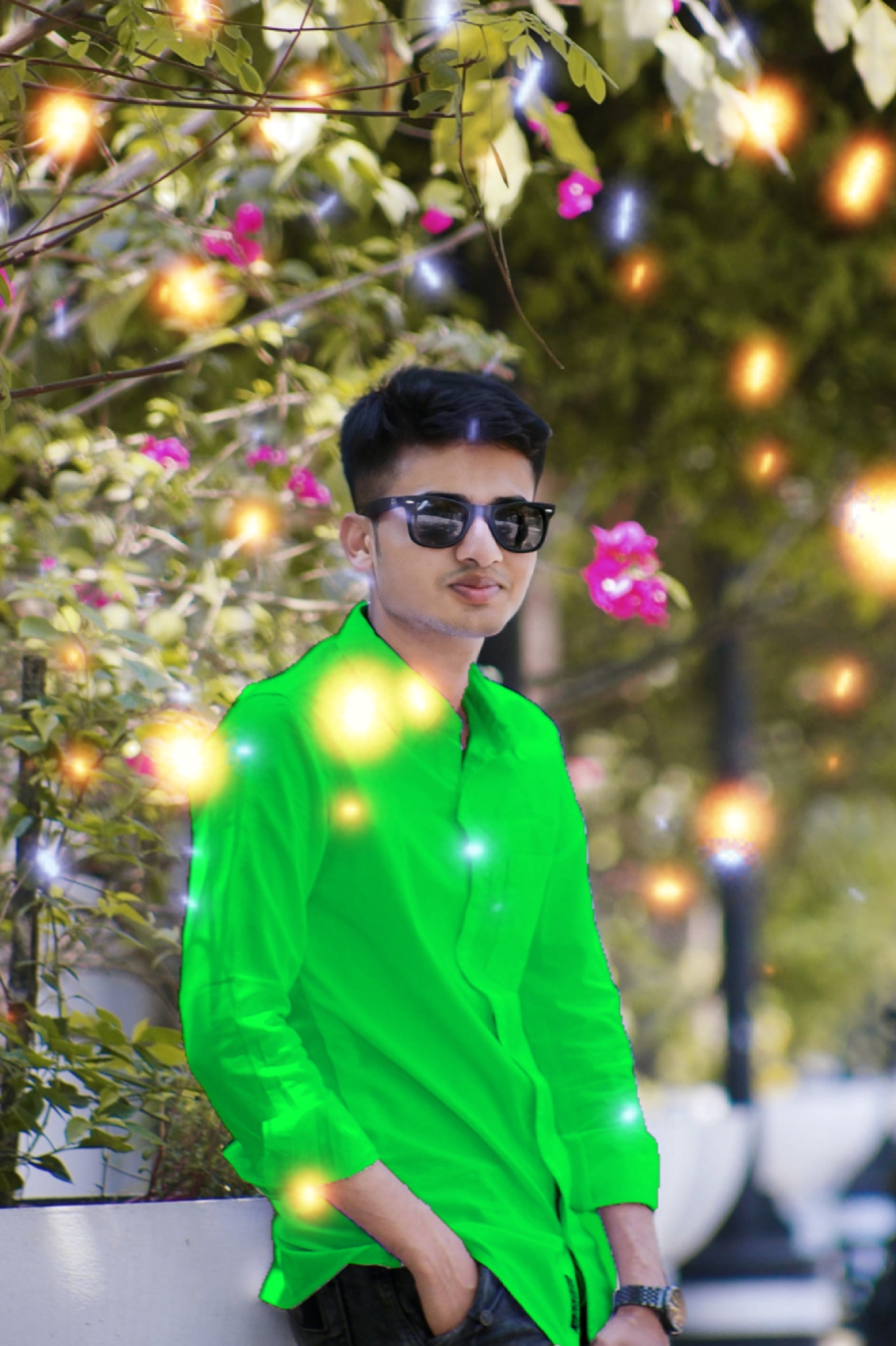 Cover Picture