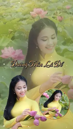 Đường Trần Lá Đổ