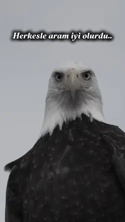 Korkusu olmayanların