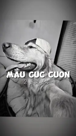 BEAT 2 ẢNH NHẸ NHÀNG