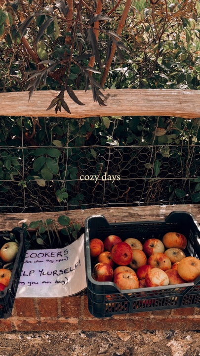 Cozy autumn days
