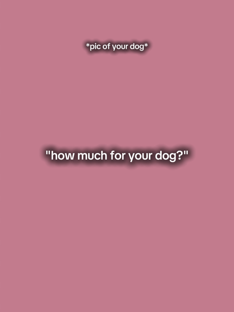 für Ihren Hund