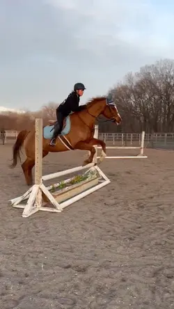 small jumpss (ai)