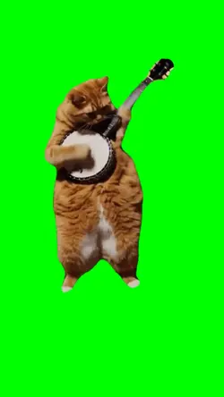 Cat Banjo Meme