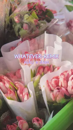 Whatever_ Remix