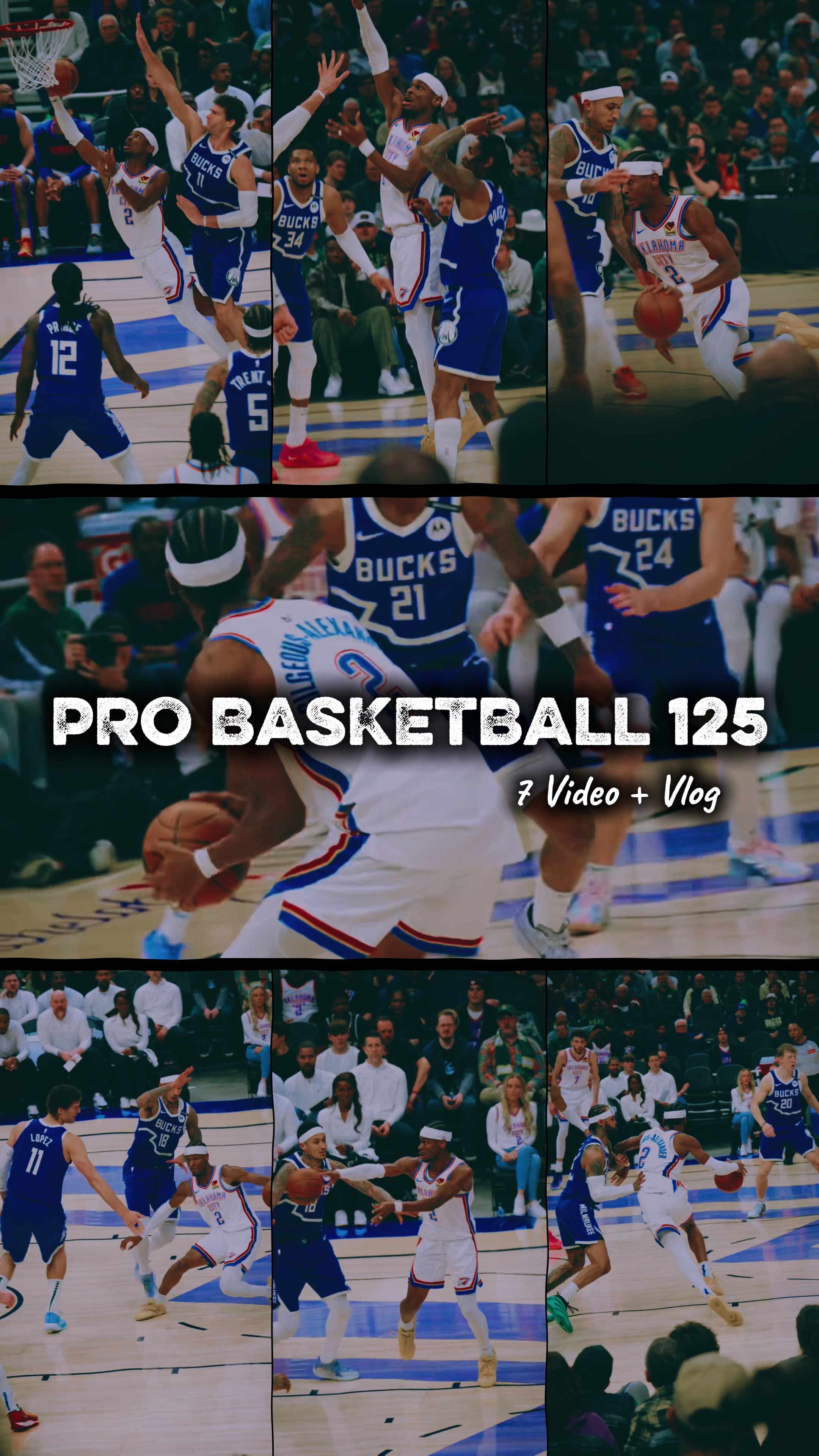 BASQUETE PROFISSIONAL