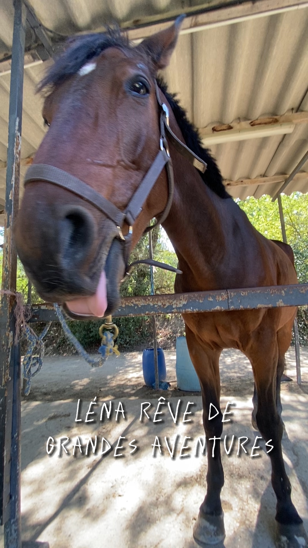 Le Ranch 🫶🏽