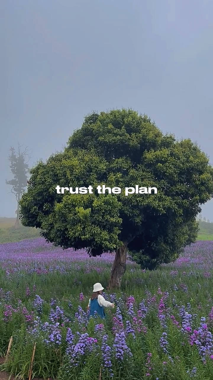trust the plan