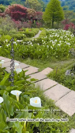 夜空中最亮的星