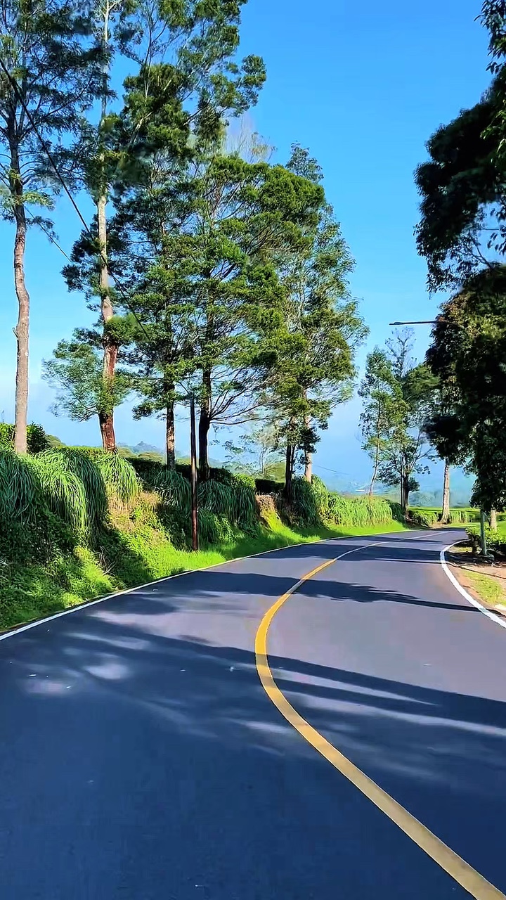 7 video road trip