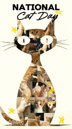 National cat day tem