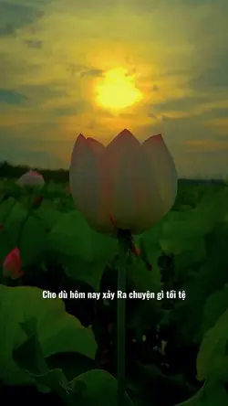 Nam Mô A Di Đà Phật