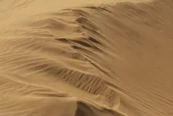 Sahara desert