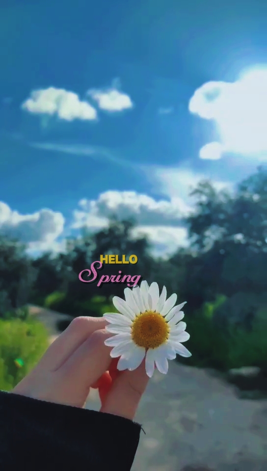 hallo frühling 