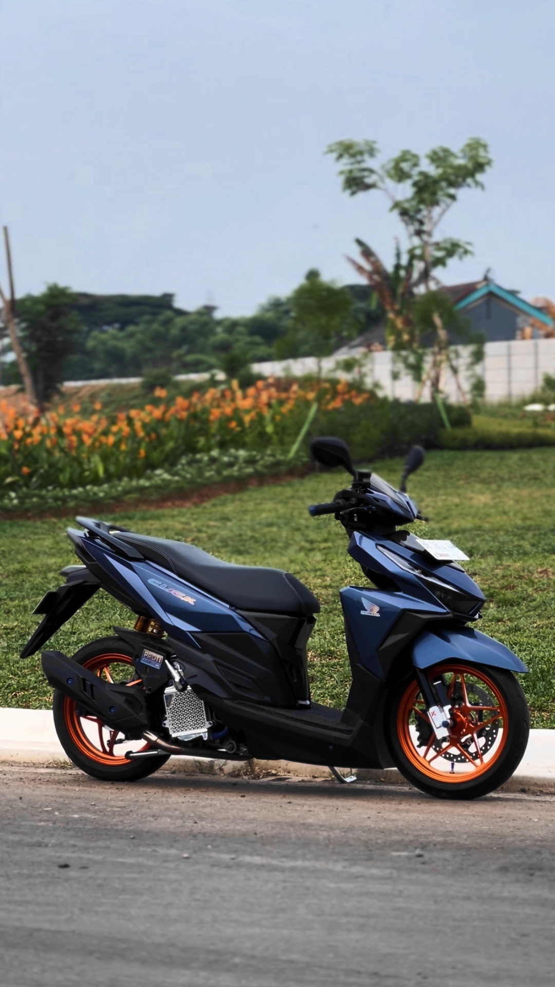 Cover Picture