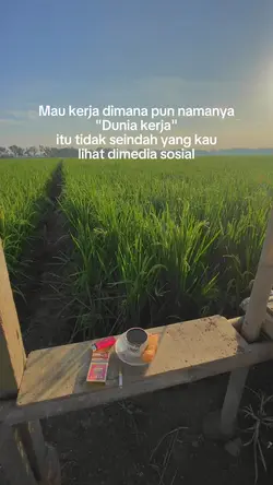 Dunia kerja