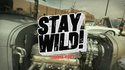 STAY WILD CAR VLOG