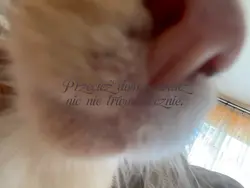 przecież wiesz