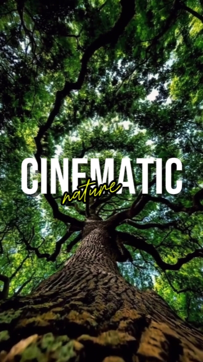 CINEMATIC NATURE