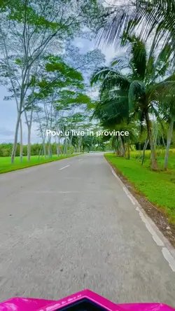 Pov: