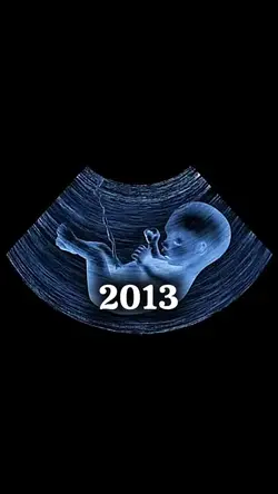 2013 to 2026