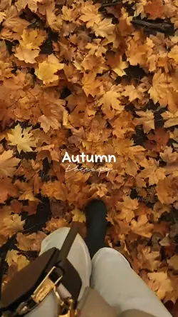 autumn therapy 
