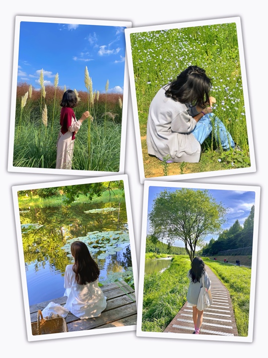 8Pic Frame Aesthetic