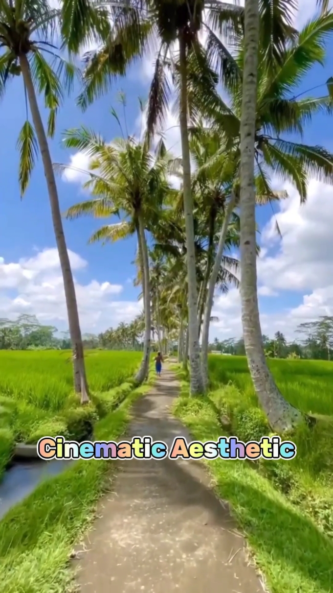 Esthétique cinématographique