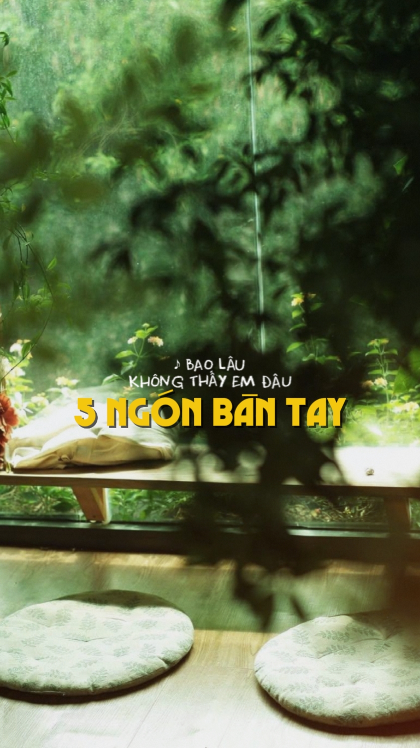 5 Ngón bàn tay