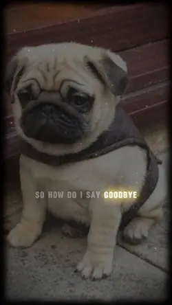 How Do I Say Goodbye