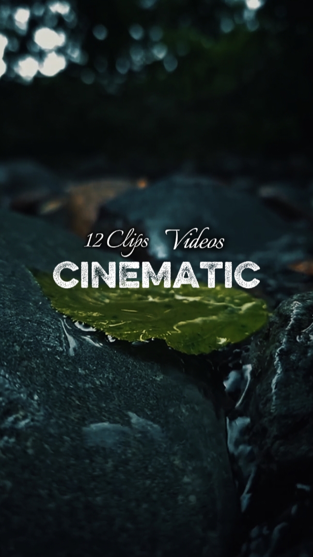 12 Clips Cinematic
